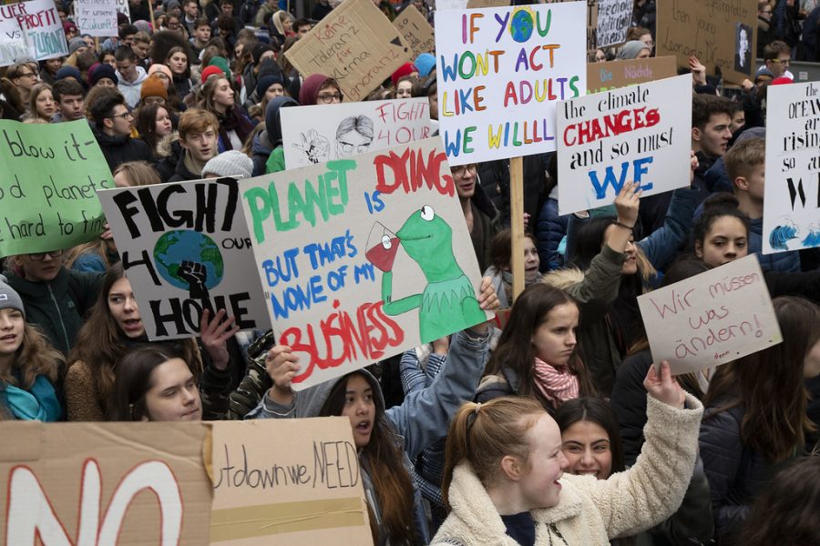 An image taken from a Climate Strike in Hamburg, Germany back in March. 