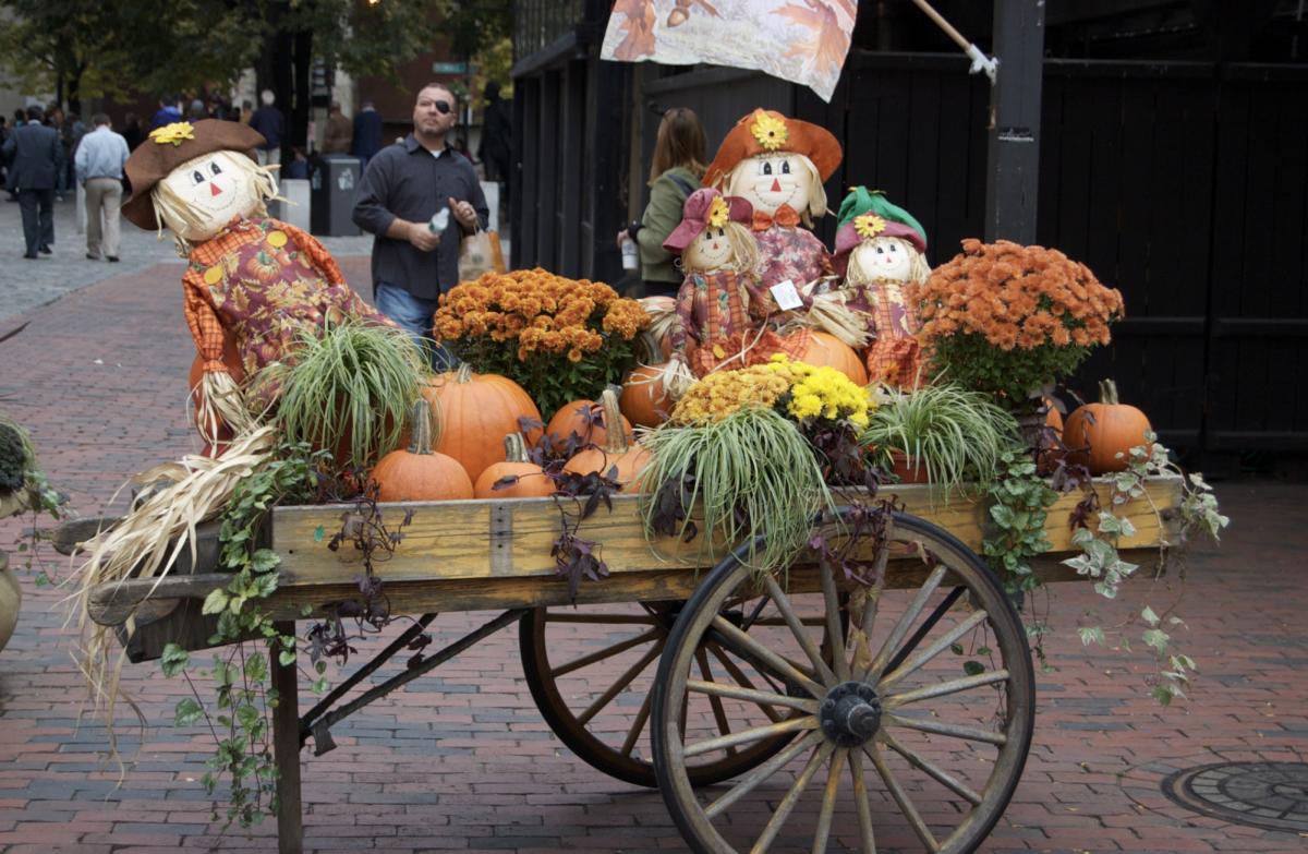 What's On Your Plate? The Poly Community Plans to Enjoy Travel, Turkey, and Traditions on Thanksgiving