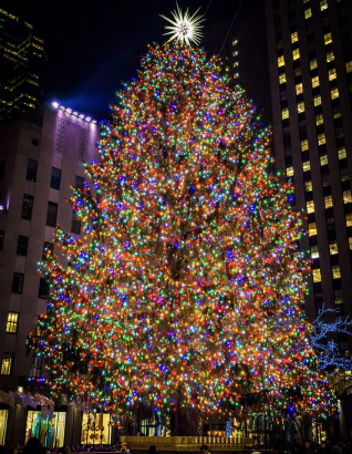In Brief: Bundle Up for Winter Activities in NYC