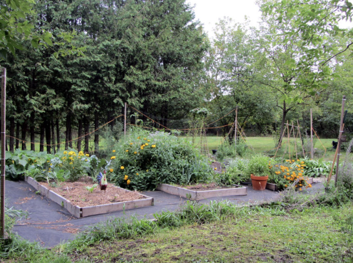 Poly to Action: A Green Initiative To Improve Our Environment
